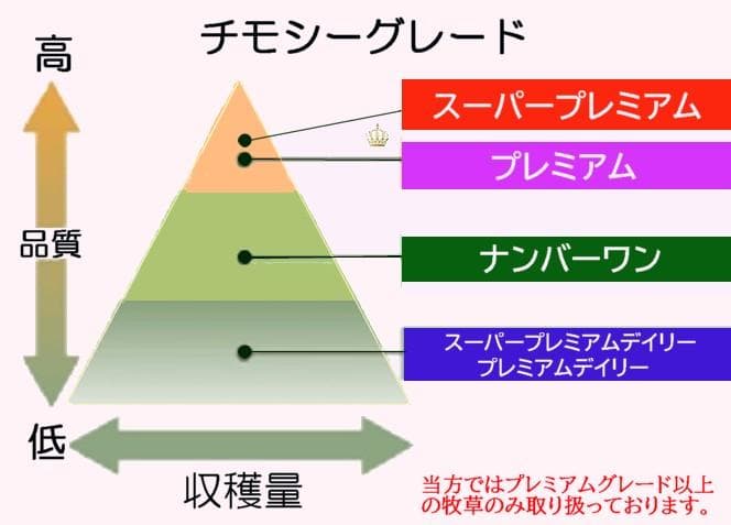 【11/30まで】 カナダ産 チモシー 50kg スーパープレミアム １番刈り