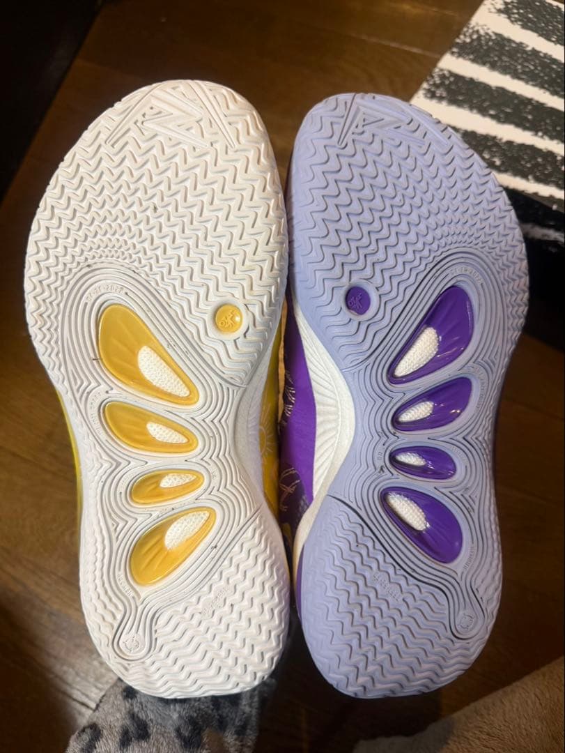 リゴラー AR2 バスケット　 ショータイム＆サンライズ ミックス 紫、黄色