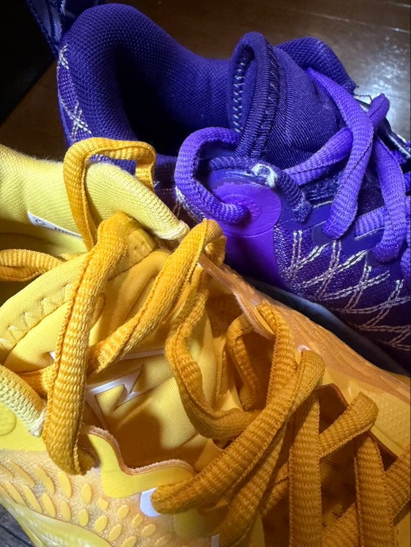 リゴラー AR2 バスケット　 ショータイム＆サンライズ ミックス 紫、黄色