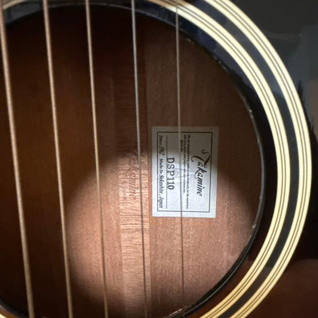 ギター Takamine DSP-110