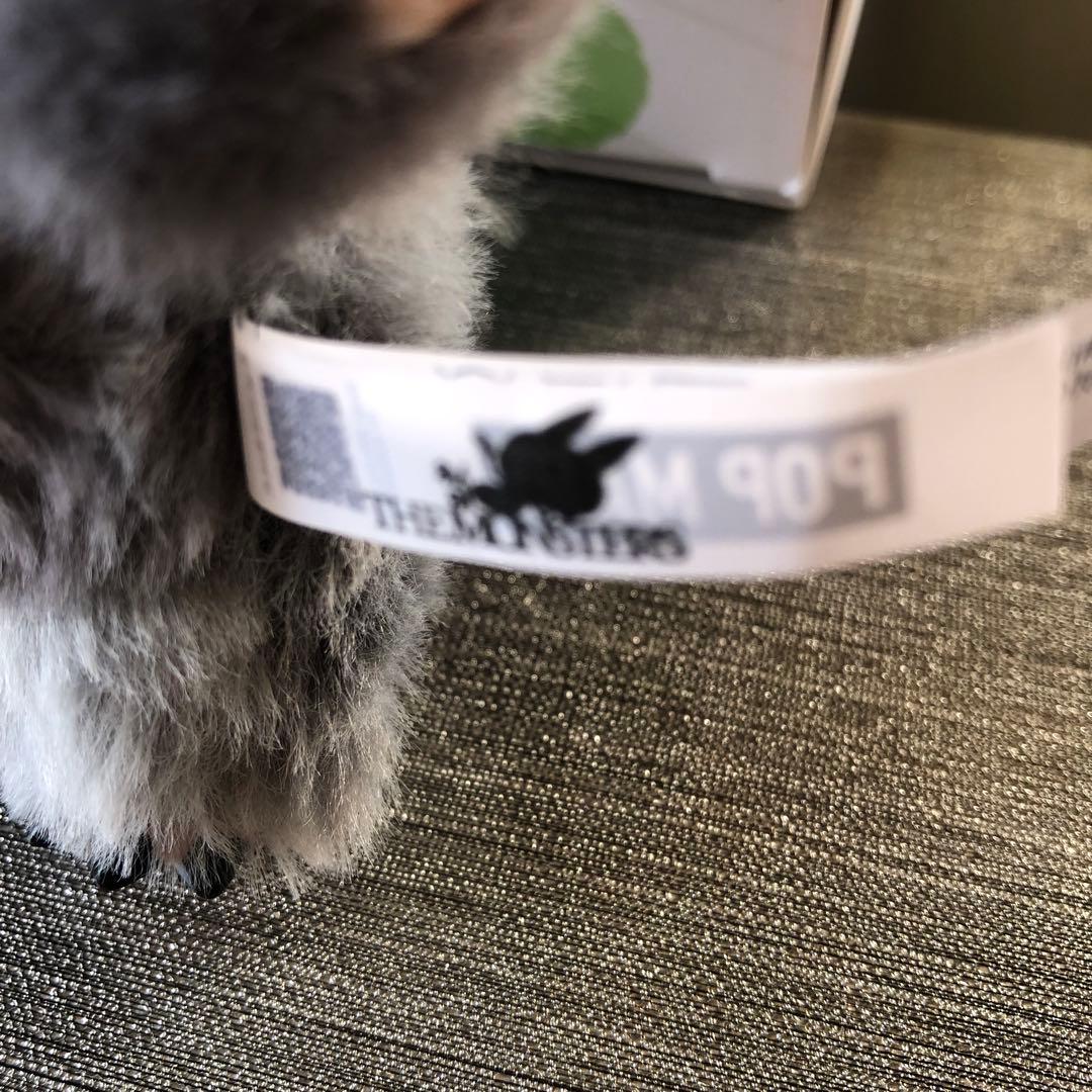 ラブブ　シークレット