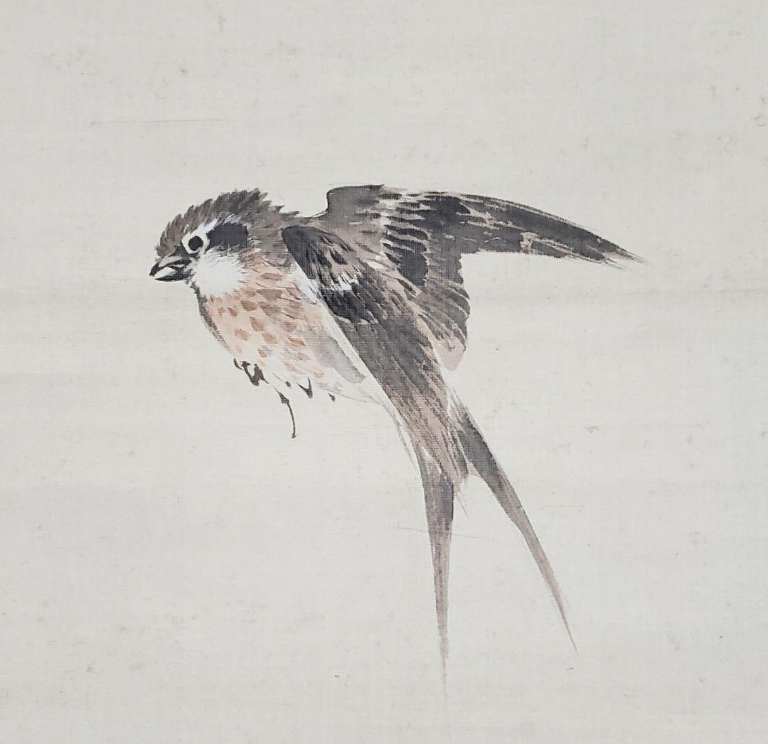 【菜花雲雀図】深田直城 2598 菜の花ひばり 共箱　掛け軸　肉筆