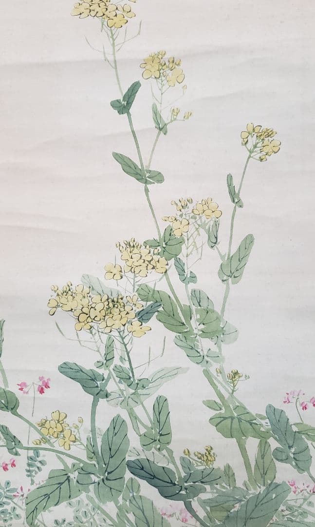 【菜花雲雀図】深田直城 2598 菜の花ひばり 共箱　掛け軸　肉筆