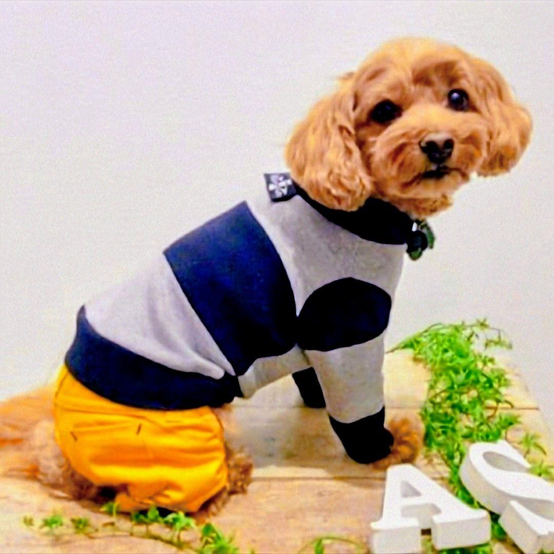 ビッグBDハイネック+パンツ　asknowasdewanアズノゥアズデワン