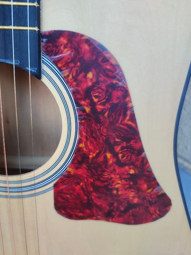 超美品 ほぼ未使用 初心者向け PU付きエレアコ オマケ多数 展示品