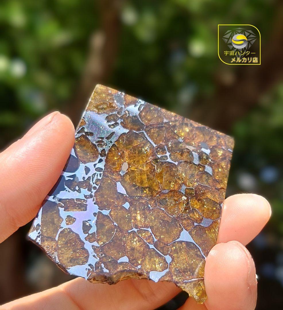 30.2g イミラック パラサイト 隕石 Imilac ⭐⭐