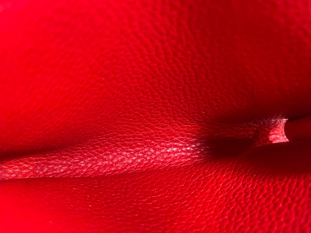 【極美品】LOUISVUITTONアンプラント レザー スリーズレッド　名刺入れ