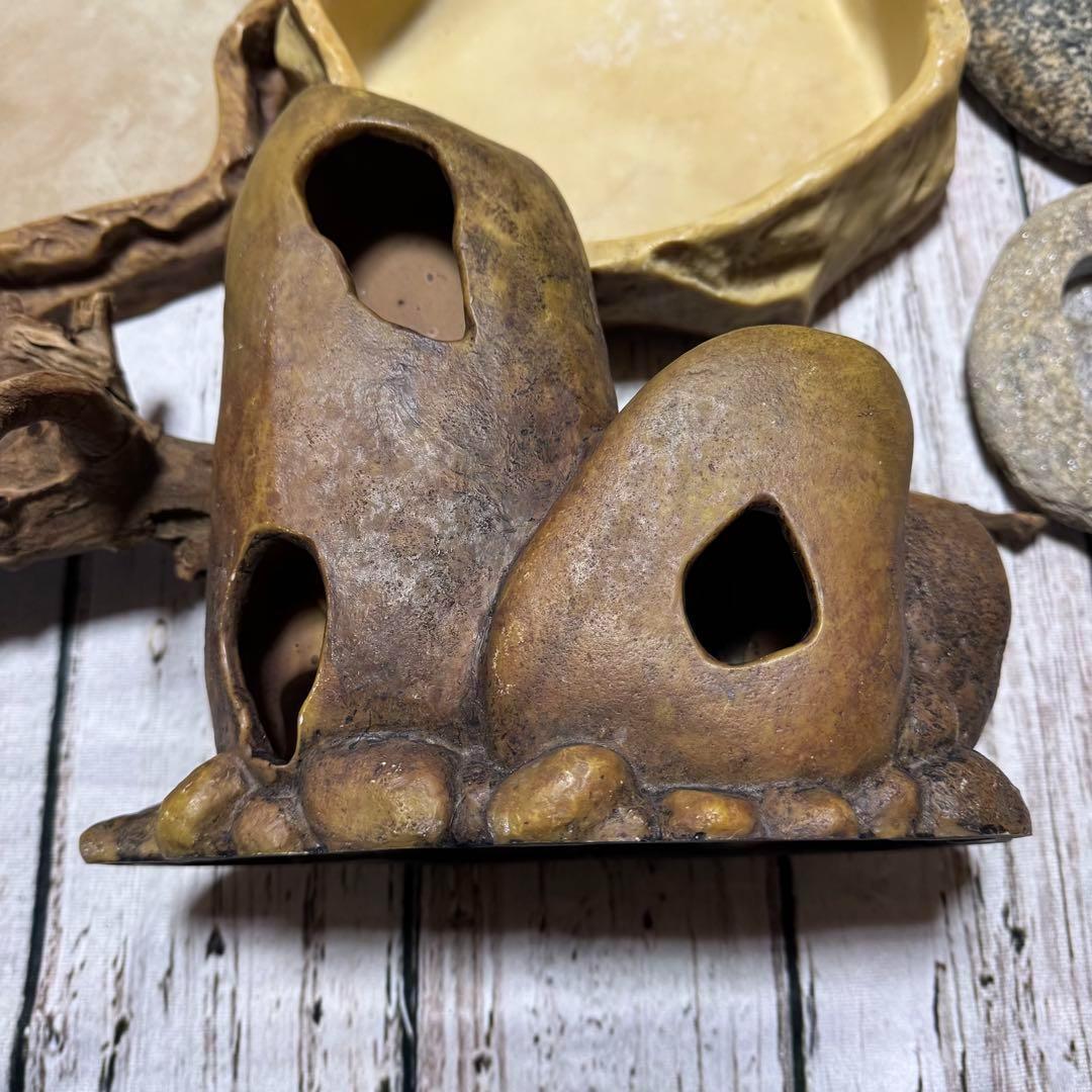 超お買い得セット　匿名配送　送料無料　飼育用品セット　餌皿　エキゾテラ　ボックス