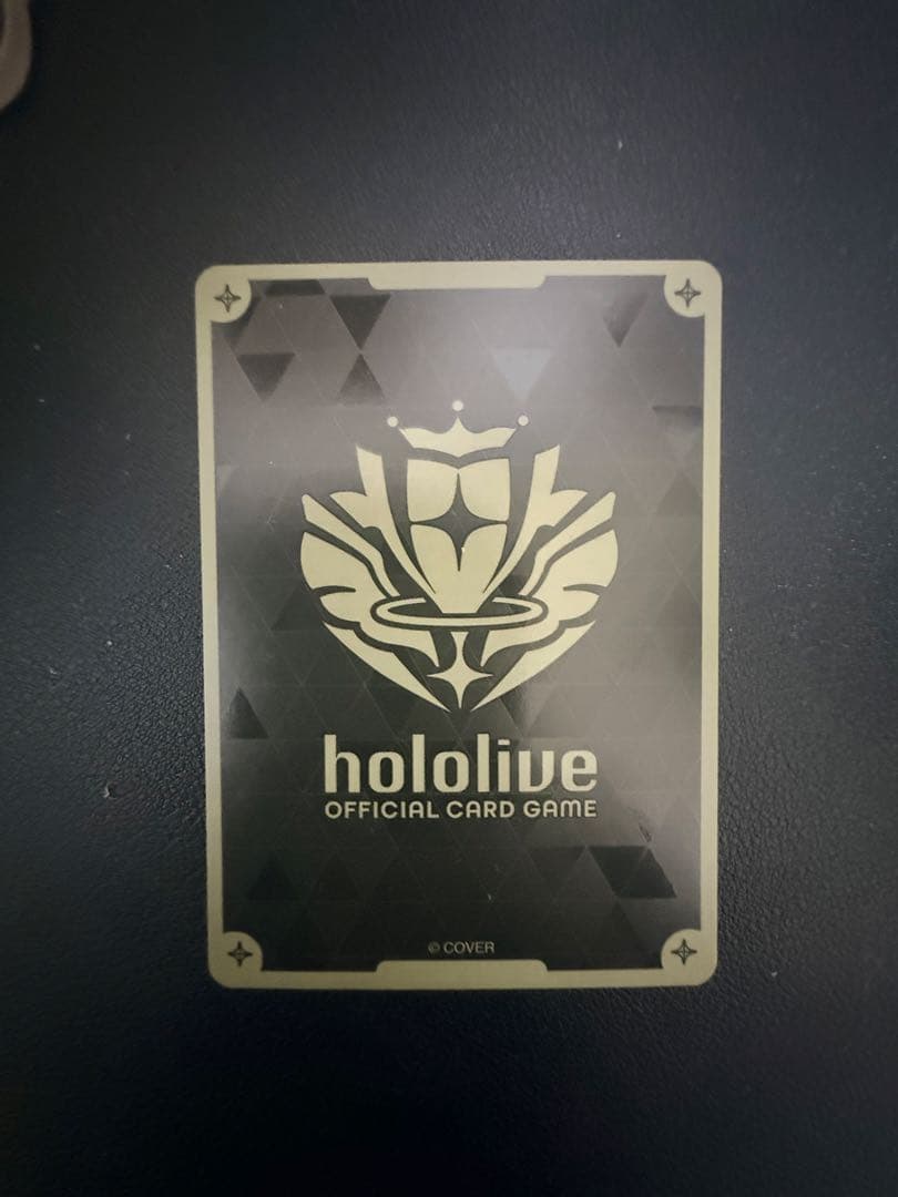 ホロカ　風真いろは　HR