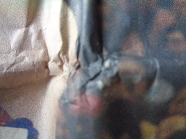 大鵬　訃報、鈴木孝政