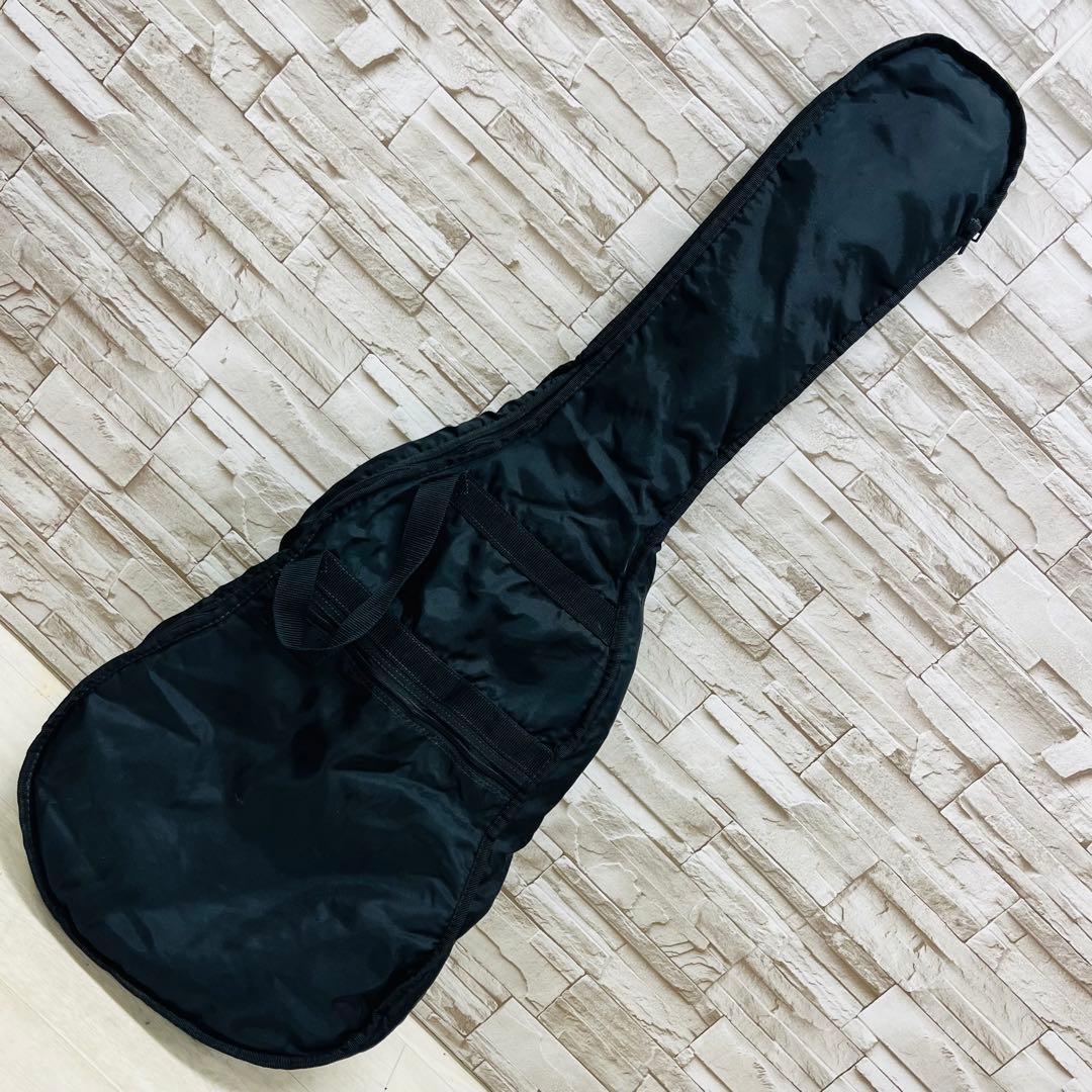 PhotoGenic st スケルトンブルー アクリルエレキギター