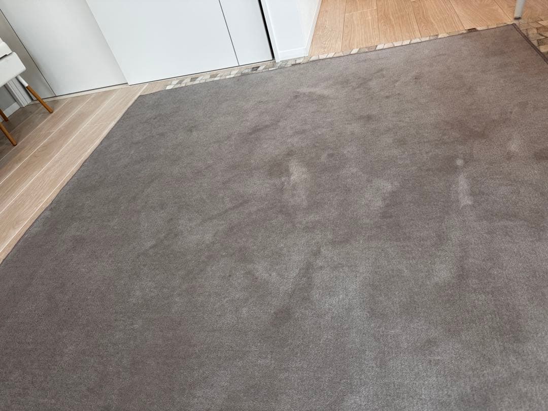 カーペットニューウール100%ポリッシャー