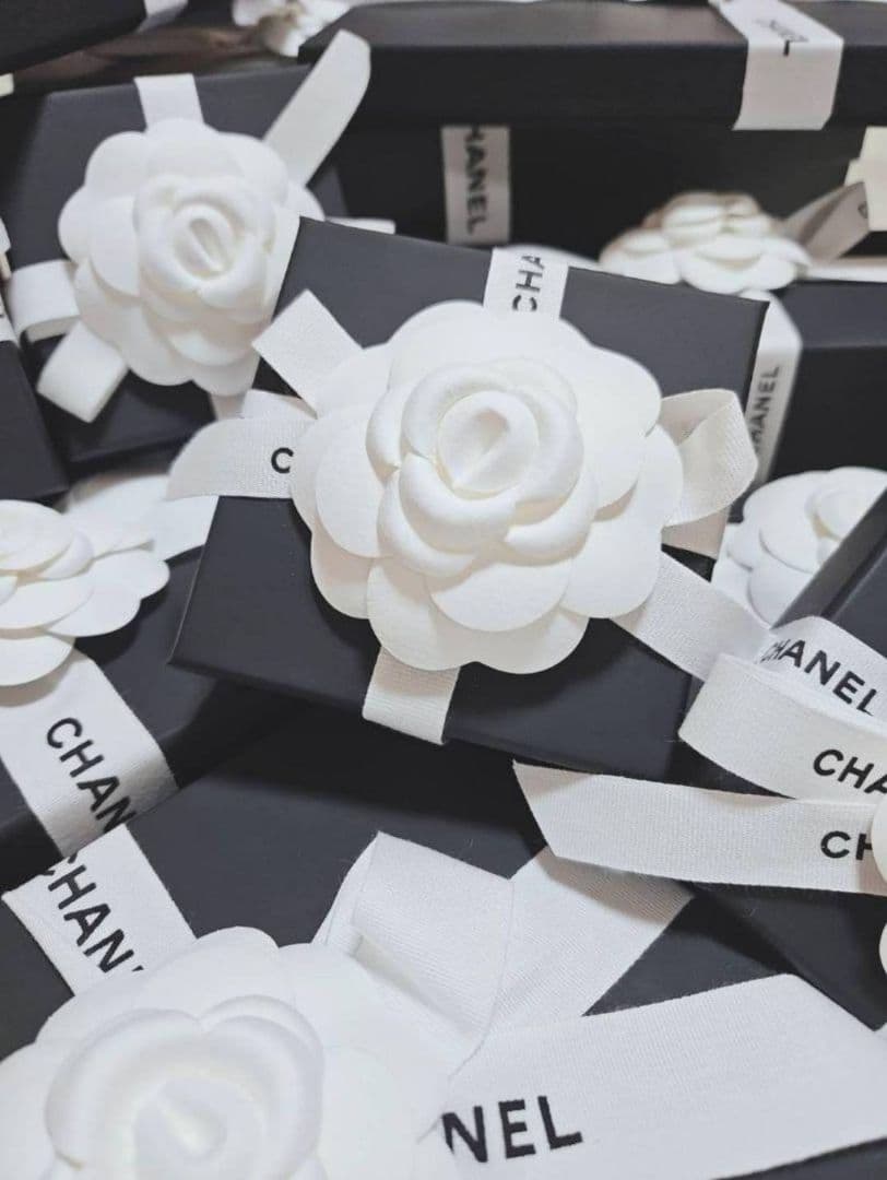 ✴新品✴CHANEL リボン ボウ バレッタセット