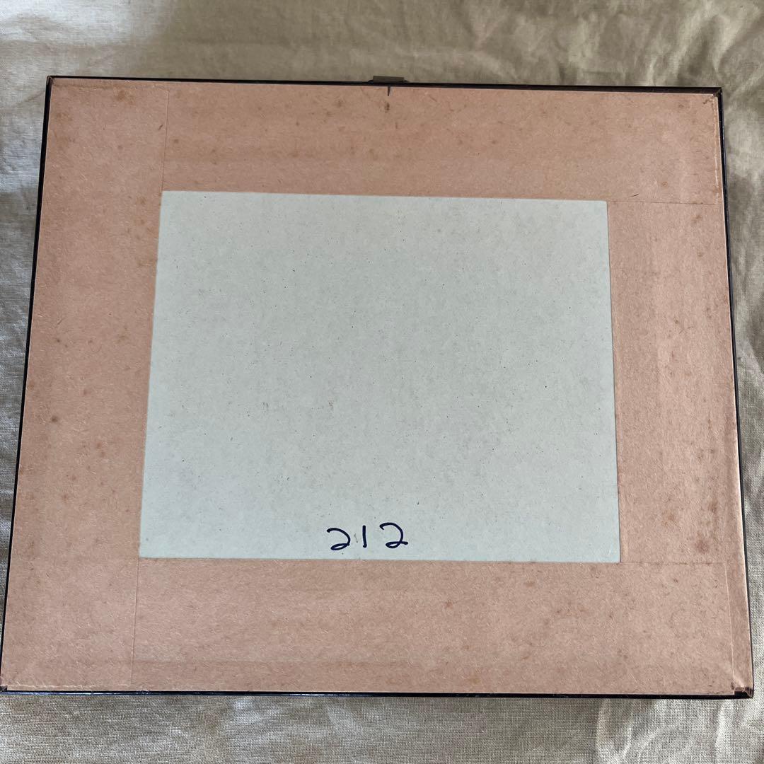 Morpho didius 標本