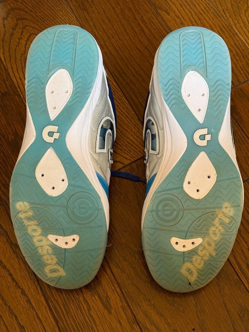 Desporte デスポルチ Tessa LIGHT ID PRO2 LTD