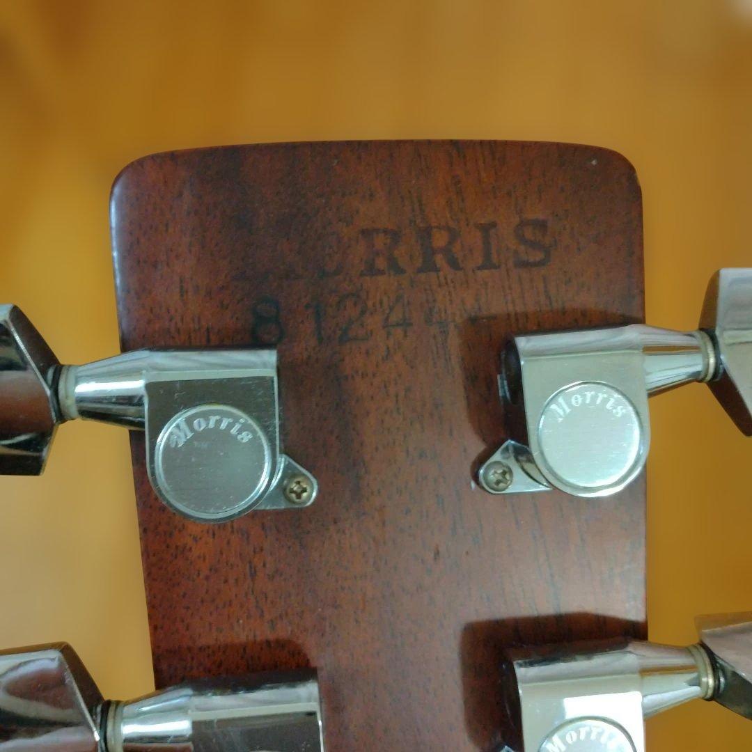 Morris W-80 アコースティックギター
