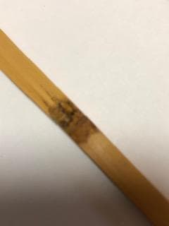 茶道具　茶杓　歌銘入り　値下しました