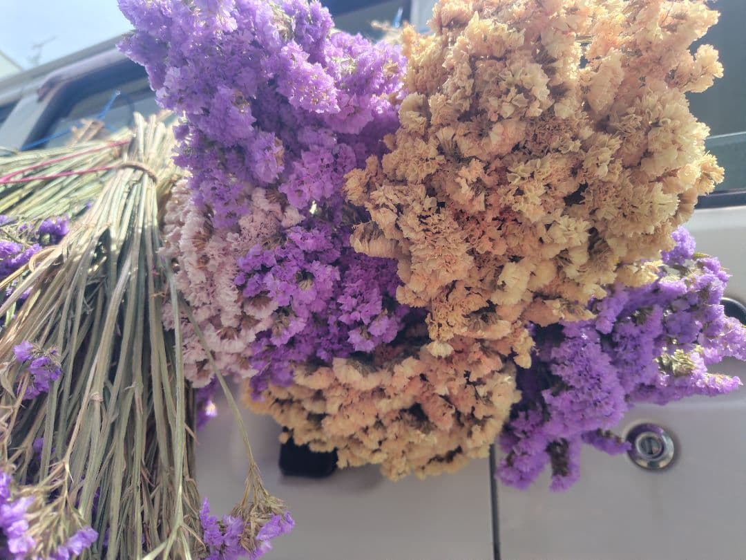ex46jp様　おまとめ。①②ドライフラワー 紫 白 ベージュ 複数束　大量。