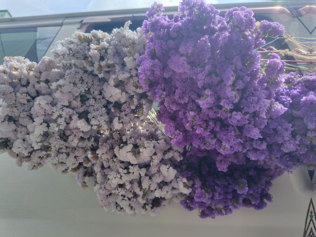 ex46jp様　おまとめ。①②ドライフラワー 紫 白 ベージュ 複数束　大量。