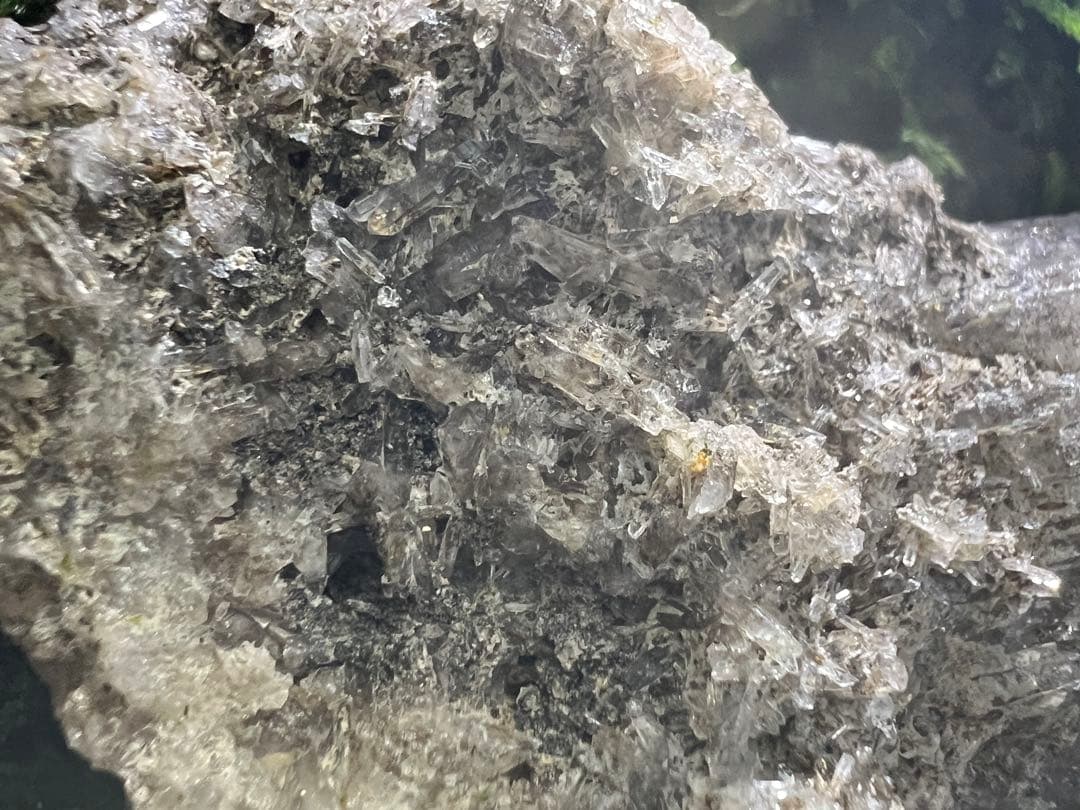 龍脈の精髄 ― ガーデンクォーツ & カテドラル（売上の一部は保護猫活動に使用）