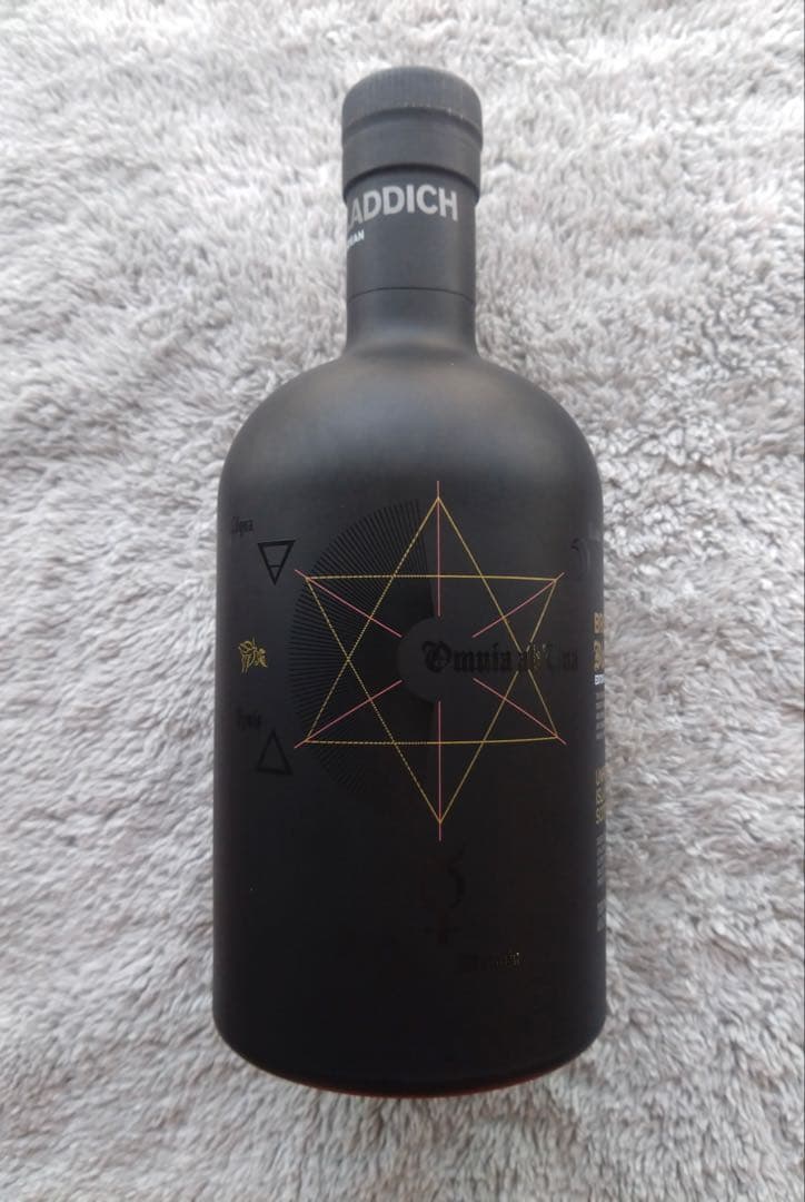 関係者持ち込み品 ブルイックラディ ブラックアート 1990 23年　E04.1