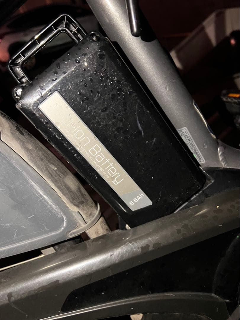 assista 電動アシスト自転車 シルバー