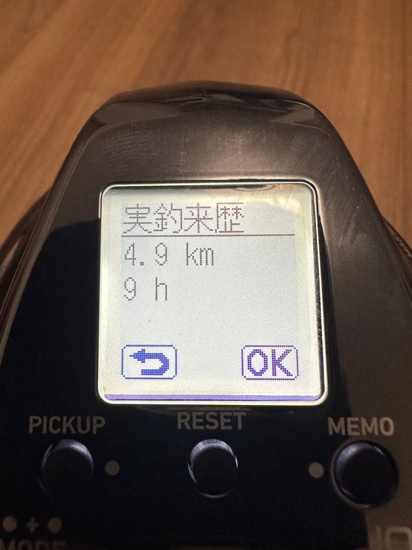 Daiwa ダイワ　21 シーボーグ　Sea Borg G300j