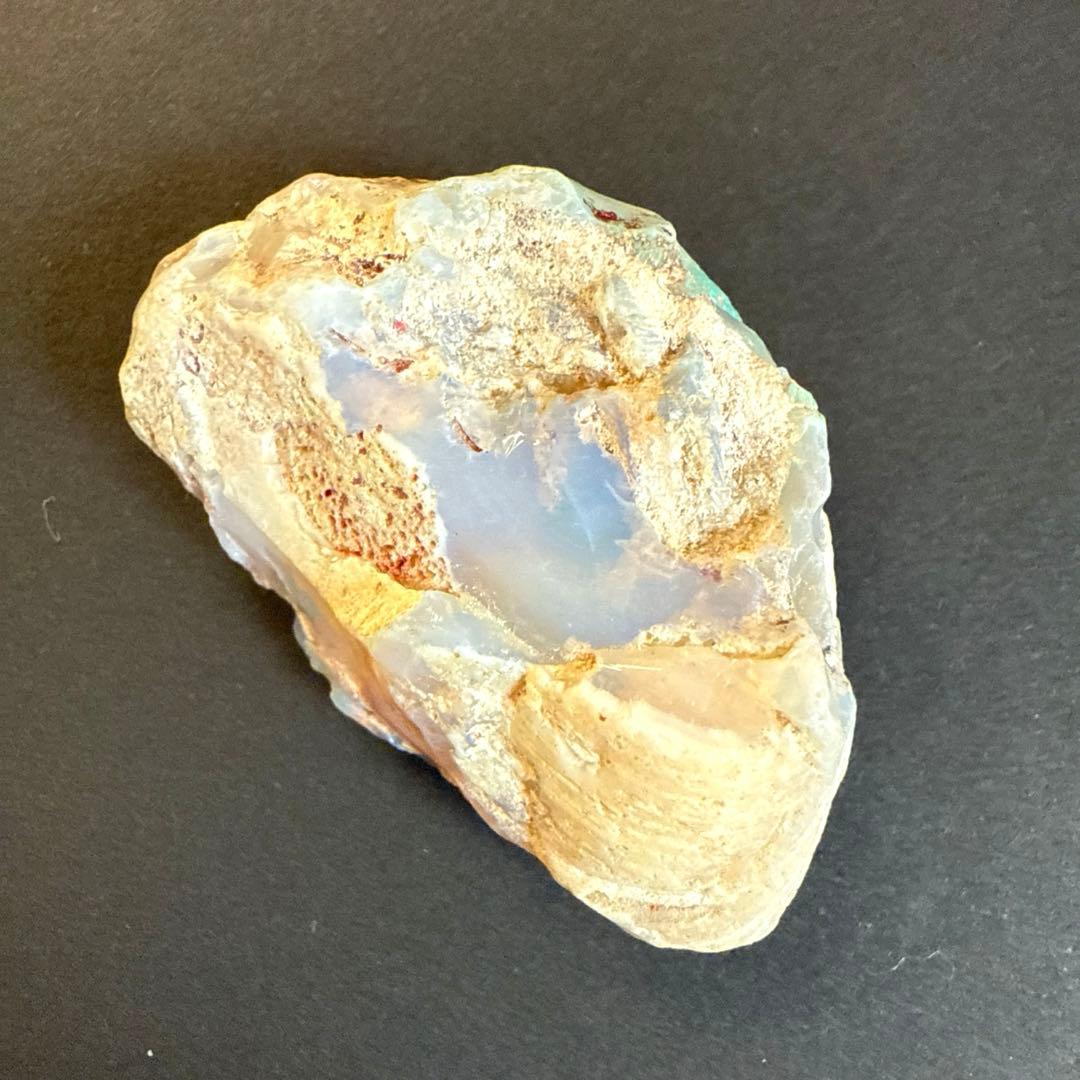 シェルオパール　貝オパール　オパール化貝化石