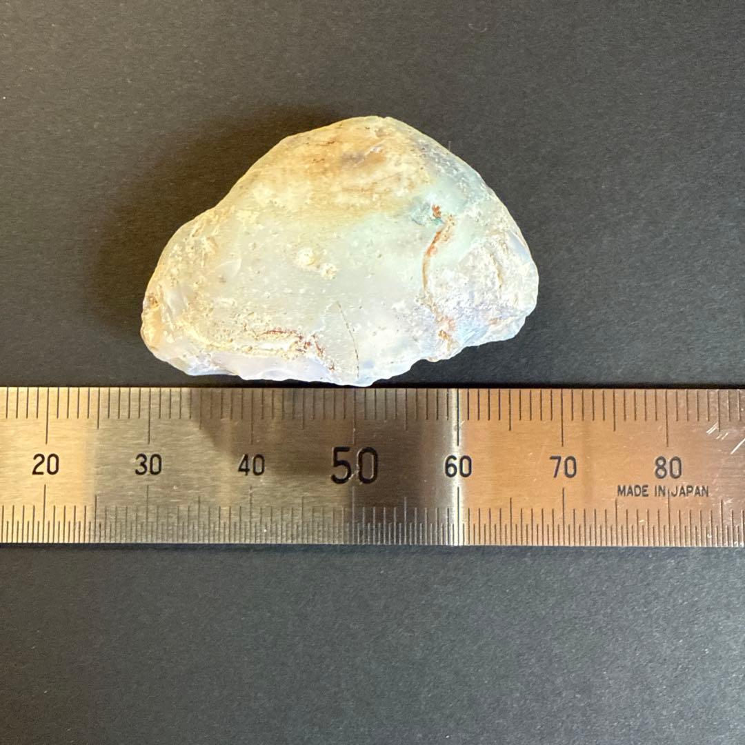 シェルオパール　貝オパール　オパール化貝化石