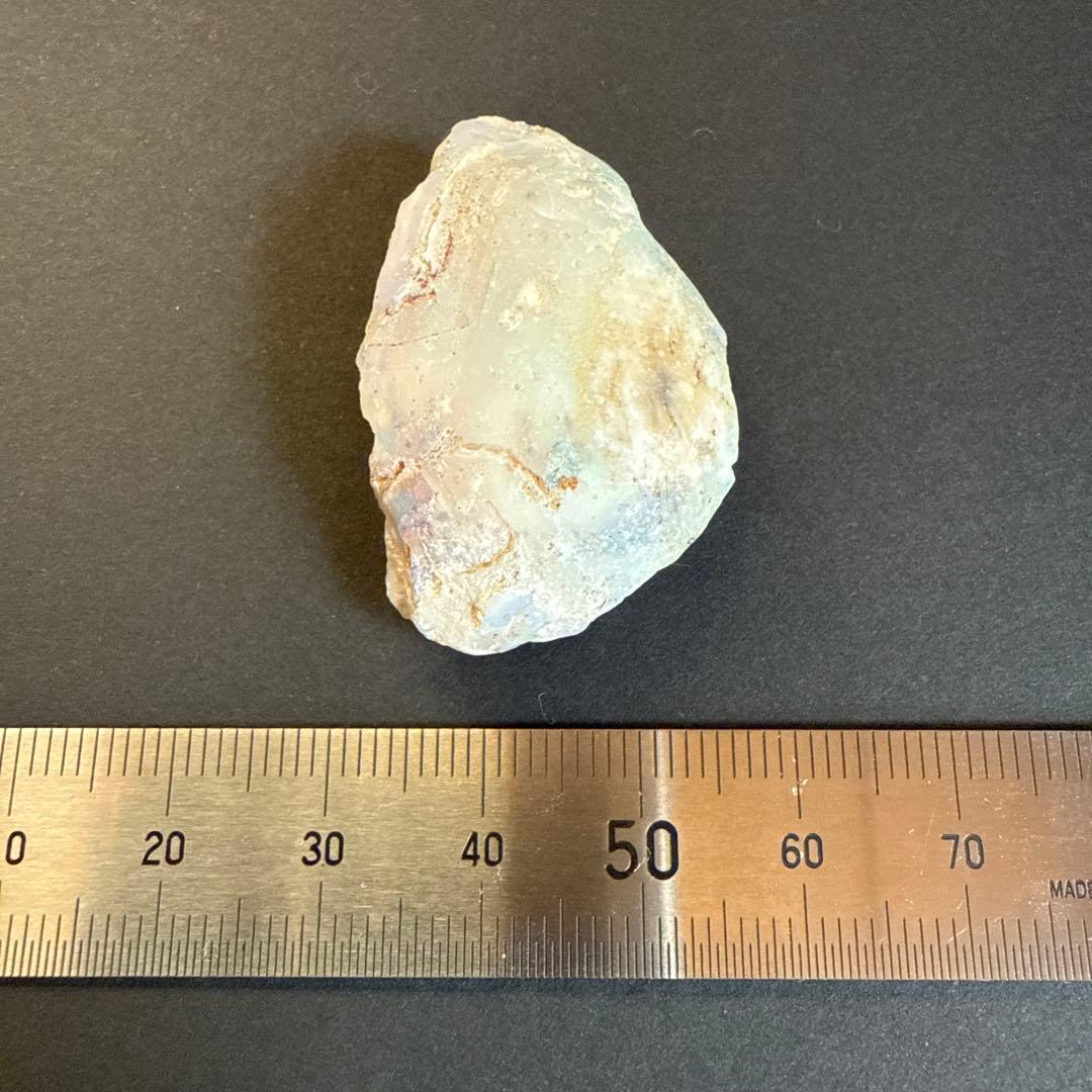 シェルオパール　貝オパール　オパール化貝化石