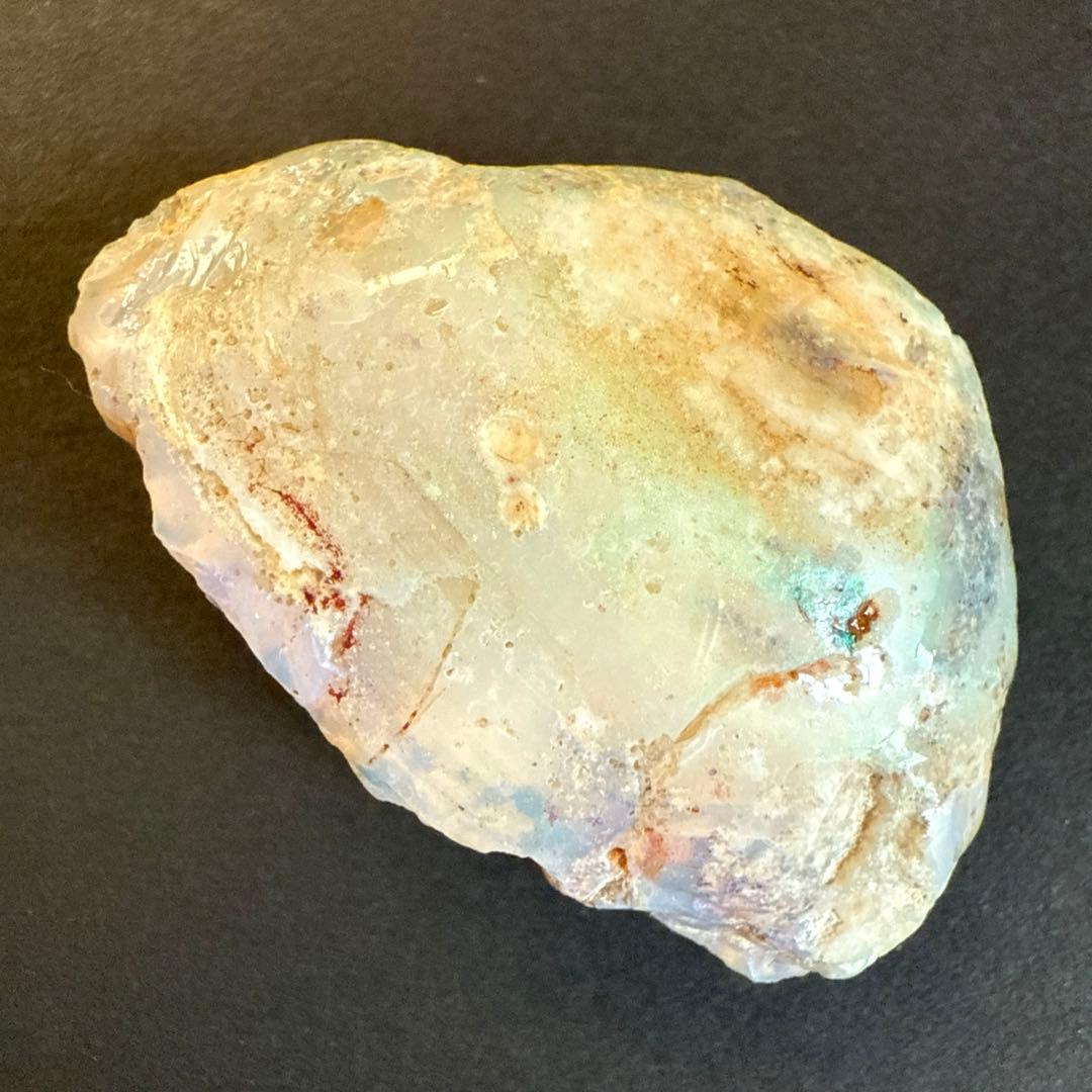 シェルオパール　貝オパール　オパール化貝化石