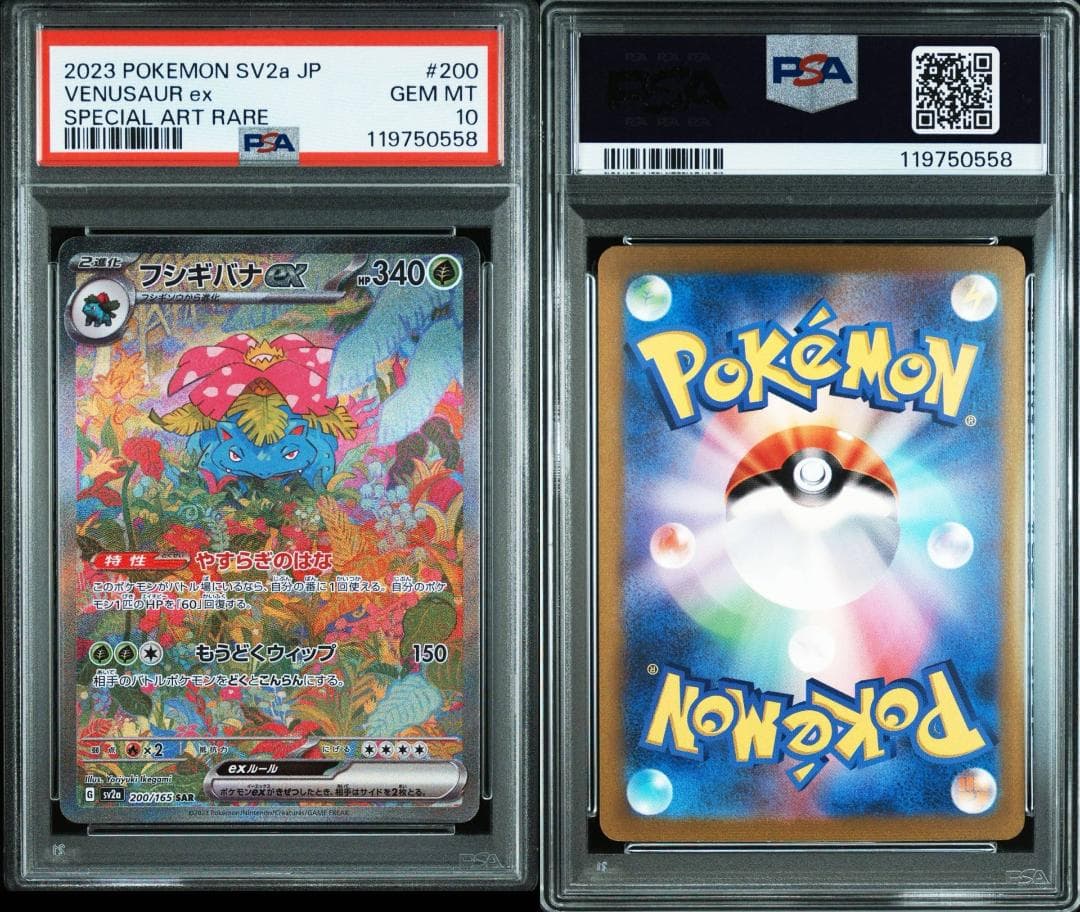 psa10 151御三家sarセット