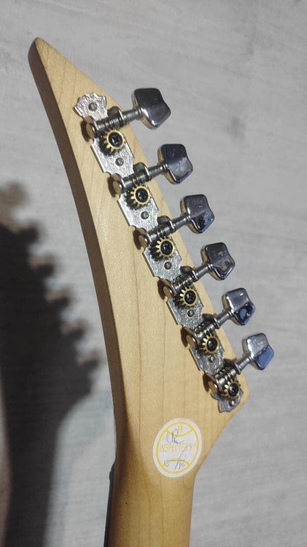 Jagard エレキギター (9点セット+弦)