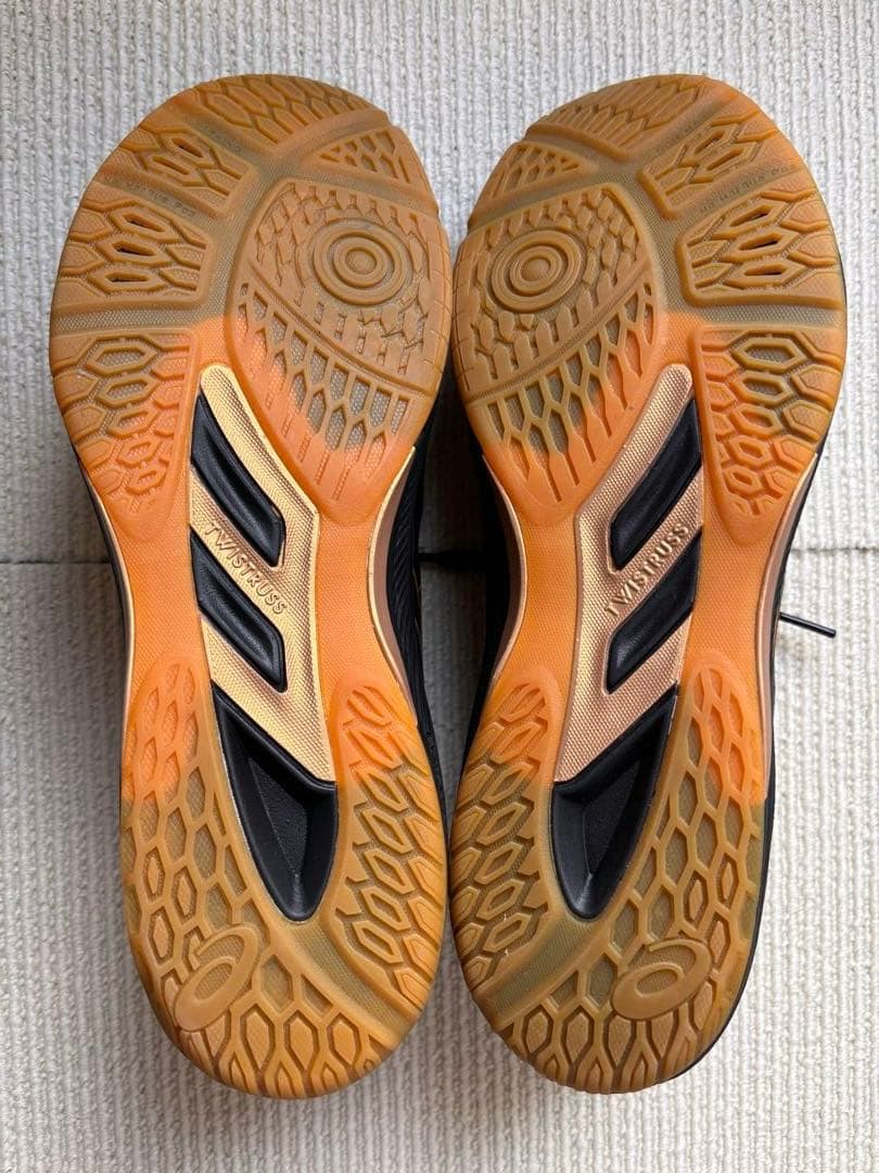 【daifuki】アシックス バレーボールシューズ ROTE JAPAN