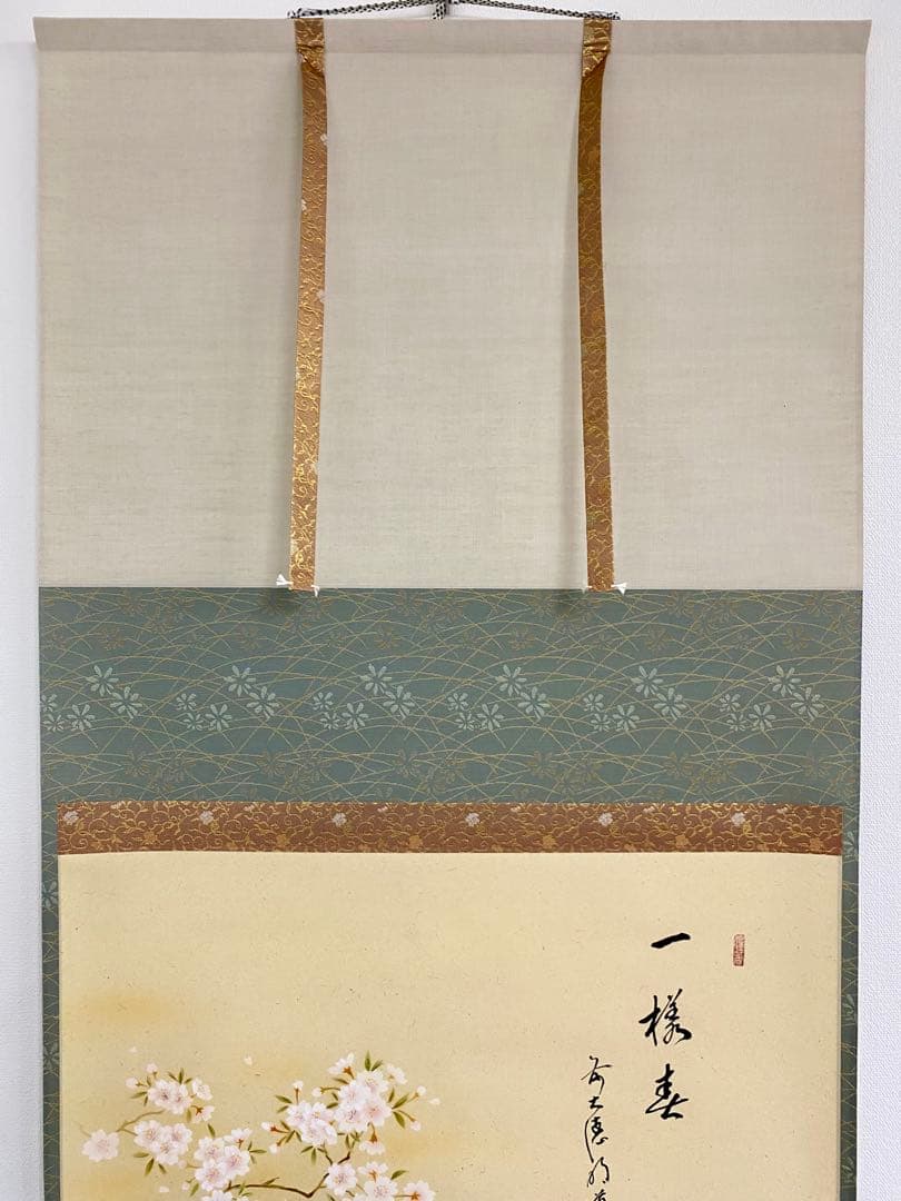 掛軸 茶掛 戸上明道【一様春】自筆 桜 画讃 玉瀧寺 大徳寺 住職 横物 軸装