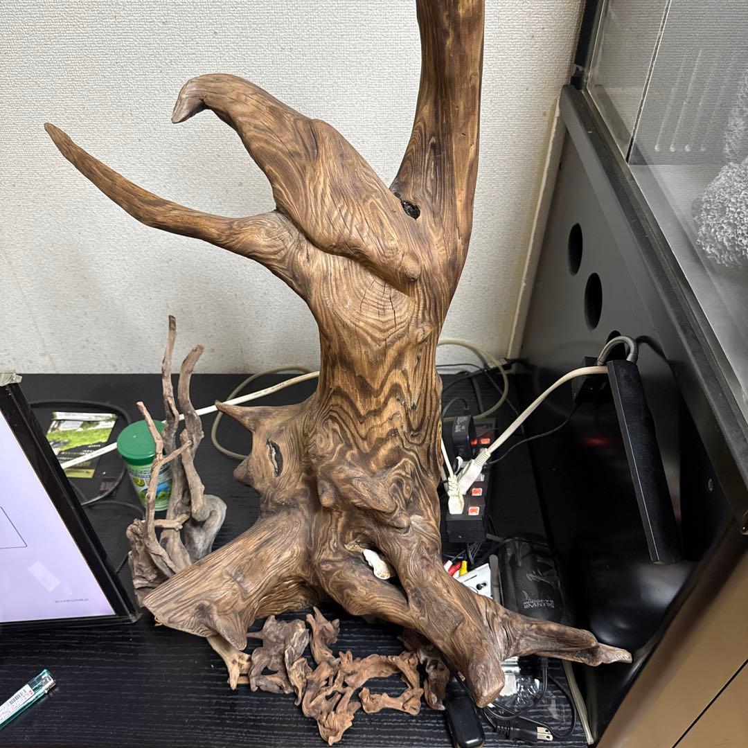 大きなガラス水槽 内蔵フィルター付き