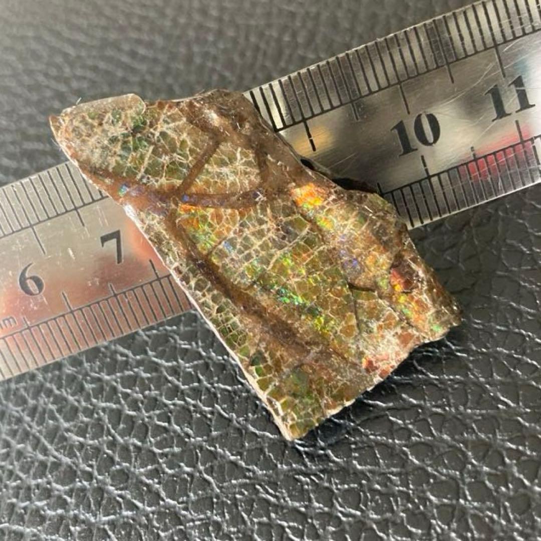 アンモライト　両面　化石　天然石 ルース