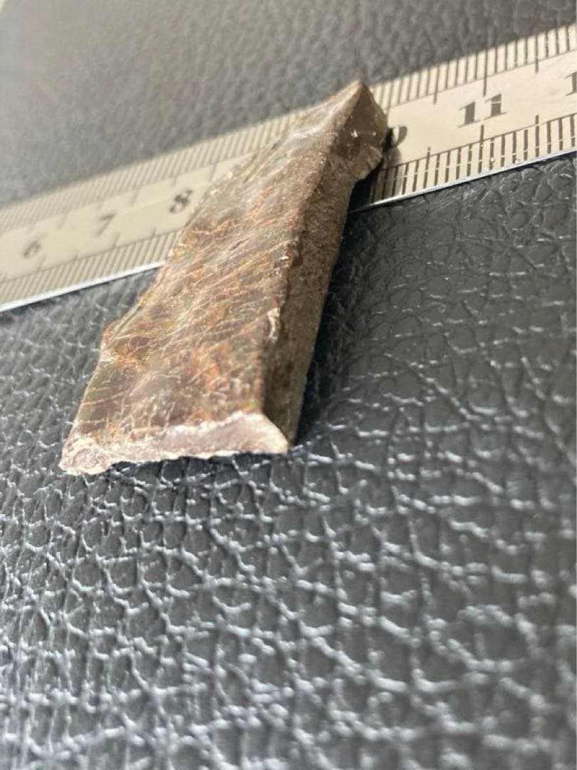 アンモライト　両面　化石　天然石 ルース