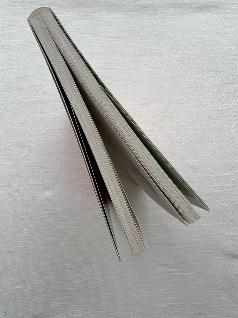 超実践版マユミ式プチマクロダイエット エプソンインク　プリンター本体