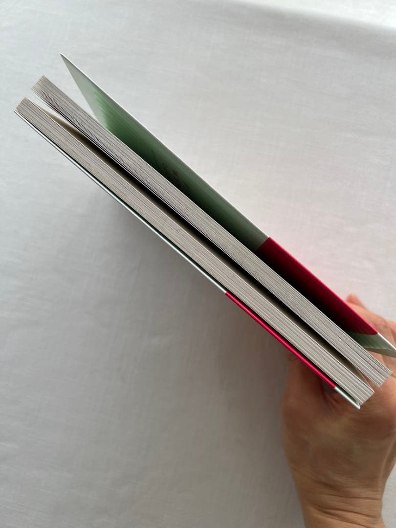 超実践版マユミ式プチマクロダイエット エプソンインク　プリンター本体