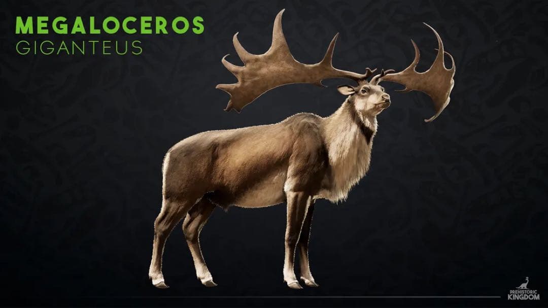 博物館級 メガロケロス 中足骨 化石　キャノンボーン 鉱物標本