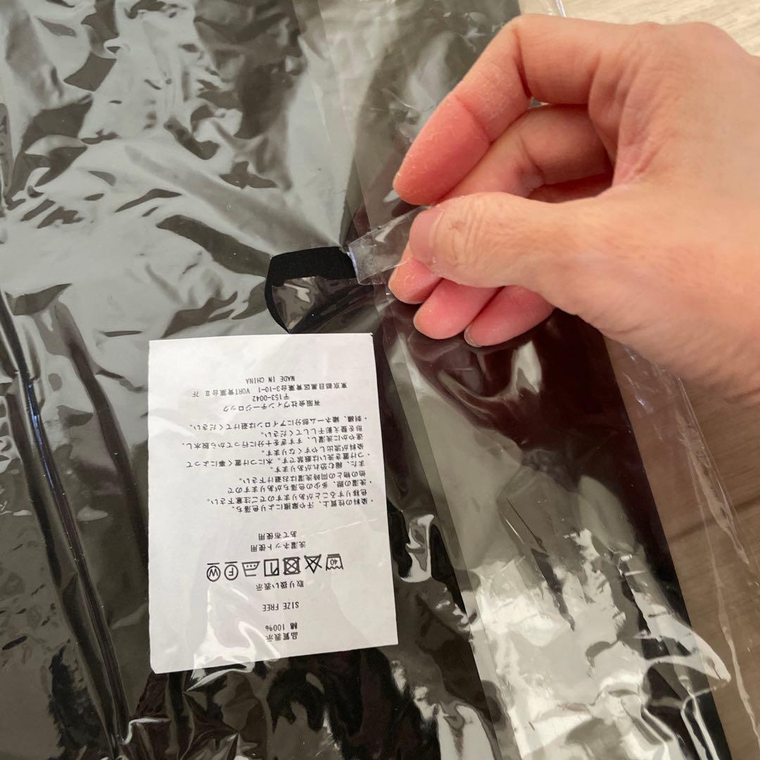 豊洲サンセット スピッツ