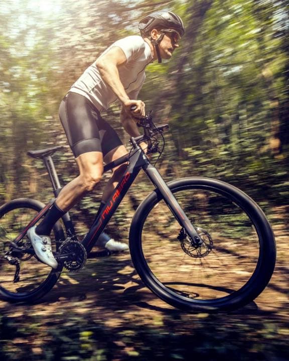 カーボンバイク