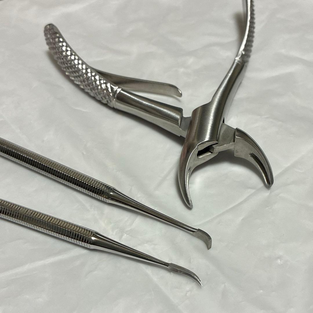 帝塚山ハウンドカム　歯石取りペンチ　スケラー