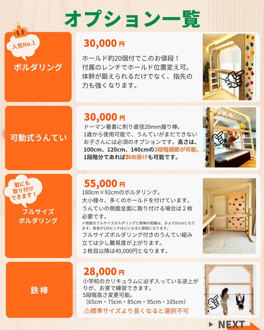 うんてい　ボルダリング　雲梯　知育うんてい　正規品