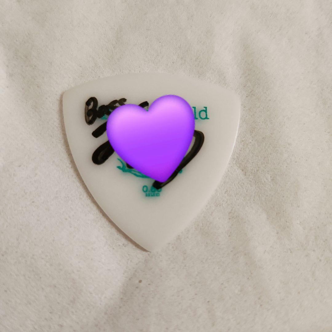 シンガーズハイ みつ ピック サイン入り