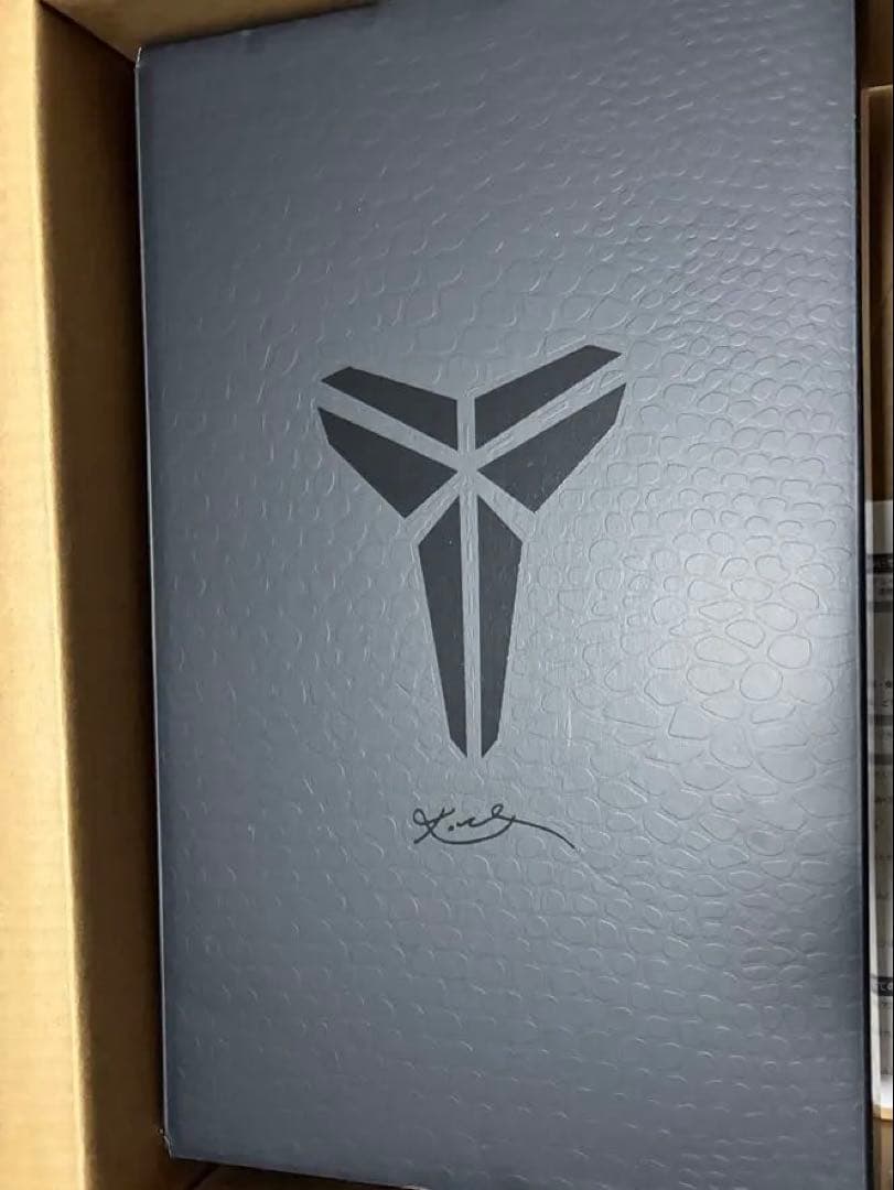 Nike バスケットボールシューズ グレー