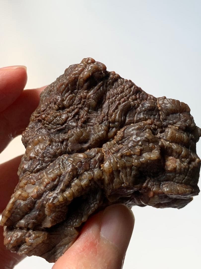 アラシャンゴビアゲート　蒙古瑪瑙　水石　翡翠　オパール　根付　天珠　化石　隕石