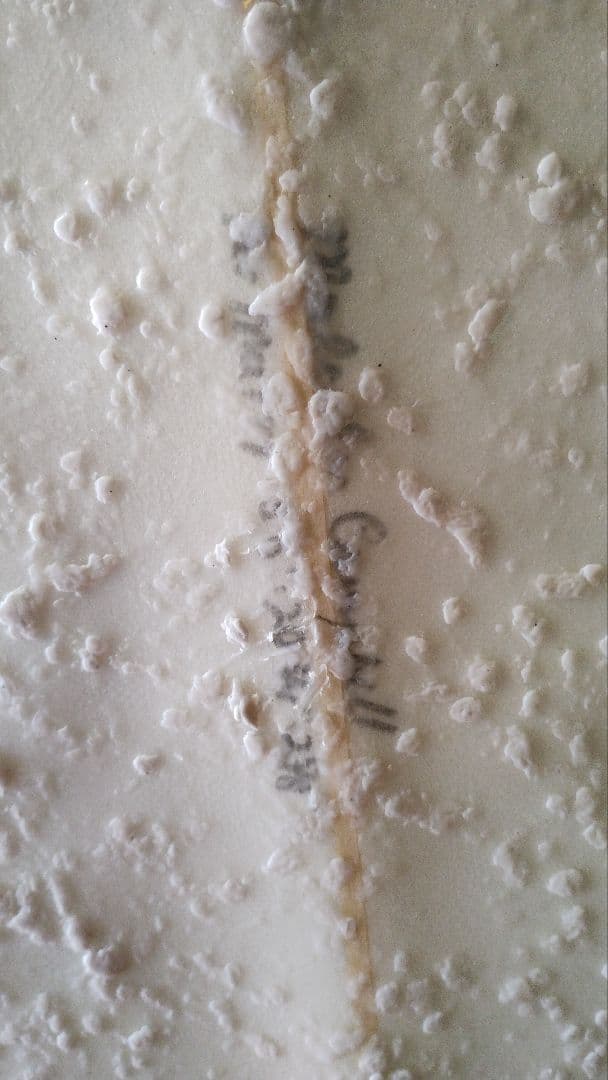 Campbell Brothers キャンベルブラザーズ ボンザー