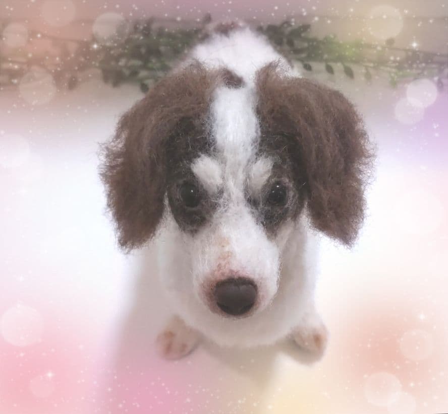 SASHA♡うちの子オーダー♡羊毛フェルト♪ハンドメイド☆